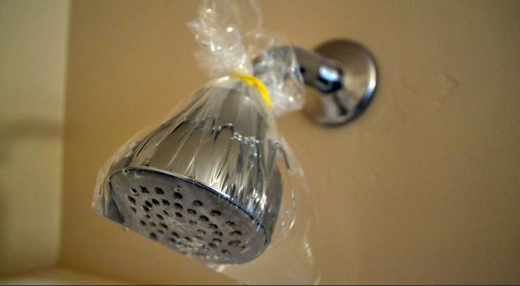 How to clean a shower head