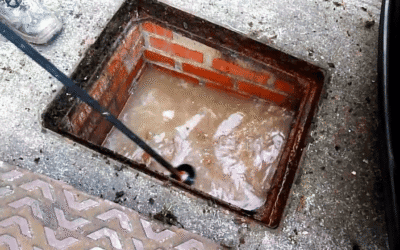 How to Properly Clear Your Outdoor Drains