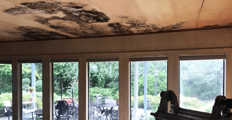 Water Damage in the home