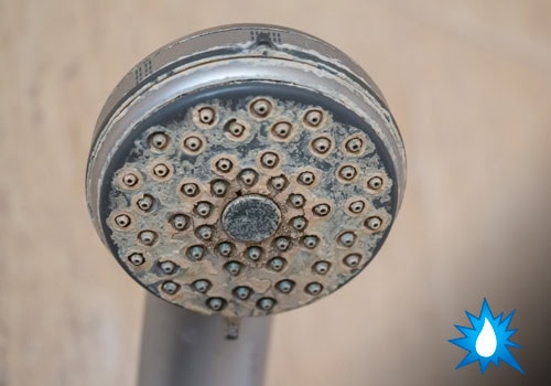 accurate leak locators why maintain tankless water heater